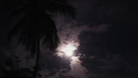 Full moon on a background of palm trees. Night moon on cloudy sky Vídeo Stock 156645213