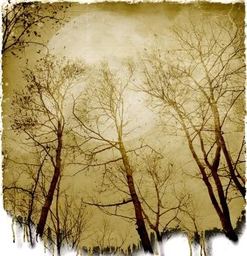 Full moon behind the bare branches Stock Illustration