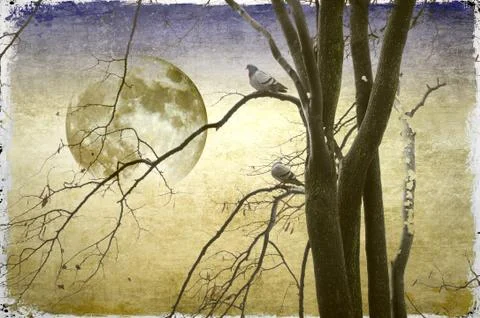 Full moon behind bare trees with birds Stock Illustration