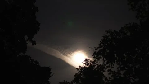 Full moon behind clouds above dark night forest Vídeo Stock 340397105