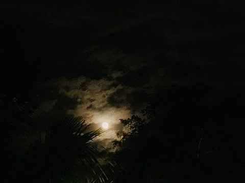 Full Moon Behind Clouds with Tropical Palm Silhouettes at Tanjung Lesung Beach Foto stock