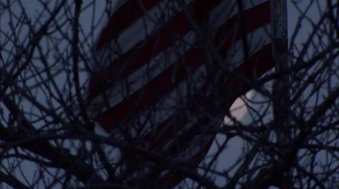 Full Moon Behind Tree Branches and American Flag HD Video Video stock 57964985