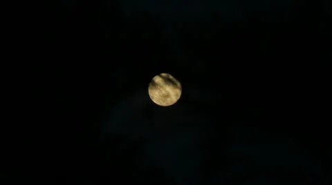 Full moon behind trees w zoom out Stock Footage 11517506
