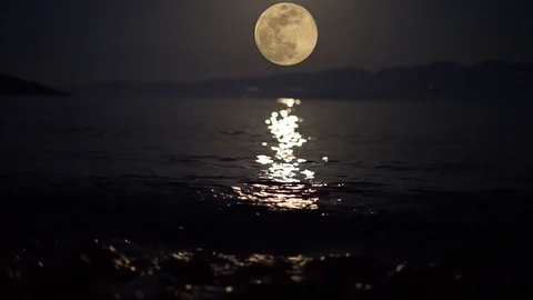 Full Moon With Birds Flying In Front Water Stock Footage 127895048