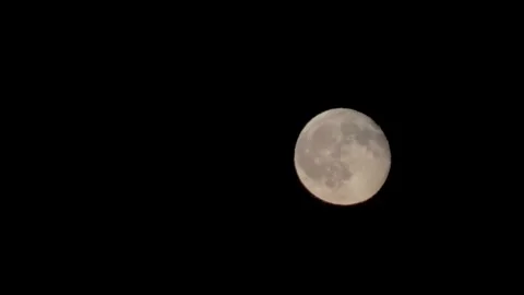 Full moon, black night sky, and Earth's satellite Vídeo Stock 344751642