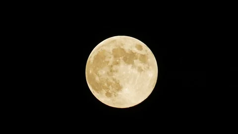 Full moon blue moon 2019 may 18 huge bird bug activity central europe pm 11 Stock Footage 108307774
