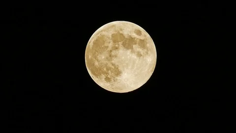 Full moon blue moon 2019 may 18 huge bird bug activity central europe pm 11 Stock Footage 108308109