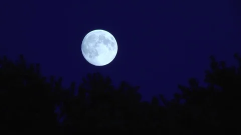 The full moon on a blue sky Video stock 85093896