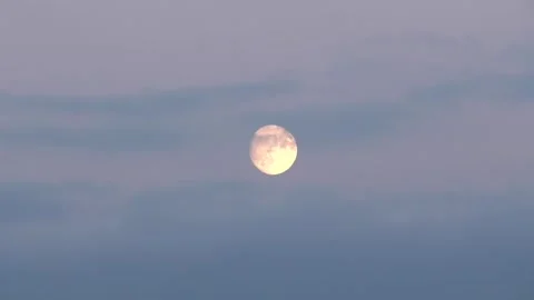 Full moon in bright sky at sunset. Romantic landscape with the moon. Video stock 325567178