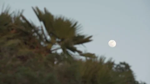 Full moon in Cap Formentor Stock Footage 80336551