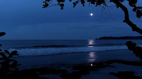 Full moon on a Caribbean beach Stock Footage 90523957