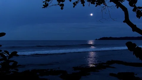Full moon on a Caribbean beach Stock Footage 90547852