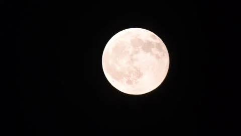 Full Moon Close Up Clear Detail Night Stock-Footage 345031140