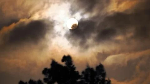 Full moon with cloud formations over the Taoropark in Puerto de la Cruz Stock Photos