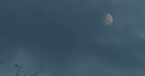 Full Moon Cloud Reveal Stock Footage 142395150