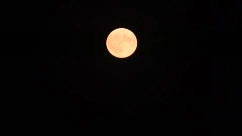Full moon in a cloudless night sky during a full moon. Stock Footage 304691197