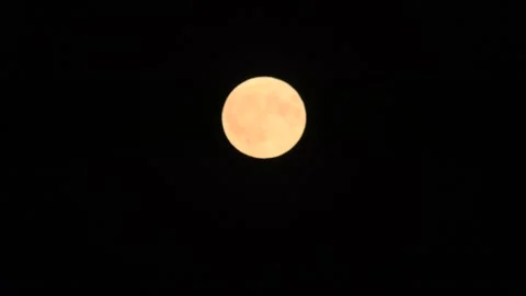 Full moon in a cloudless night sky during a full moon. Stock Footage 304691437