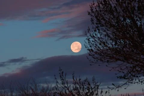 Full moon with clouds Stock Photos