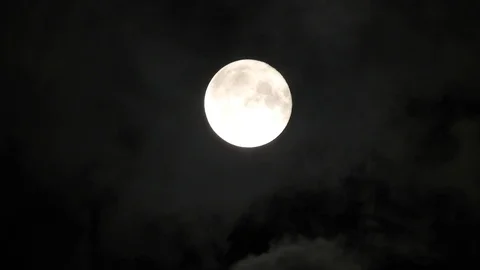 Full Moon in cloudy night sky. Close up  4k video Stock Footage 95646247