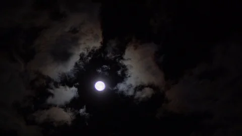 Full Moon In The Cloudy Sky Video stock 124435043