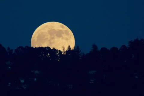 Full moon cresting over the forest hills Stock Photos