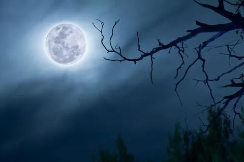 Full moon in dark blue sky 스톡 일러스트
