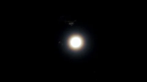 Full moon on dark night and cloud moving pass moon Video stock 82731100