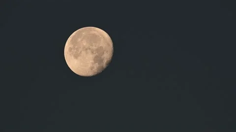 Full moon in the dark night, germany Stock Footage 196298695