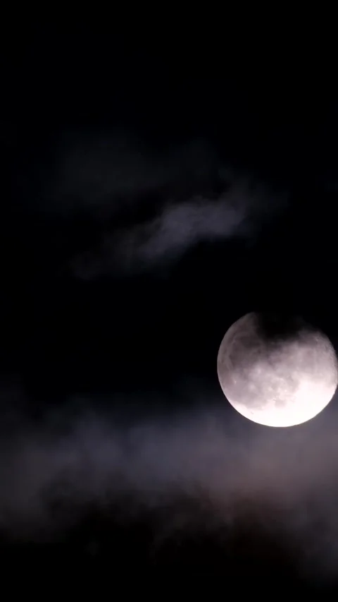 Full moon in the dark night sky. Vertical video Video stock 250382845