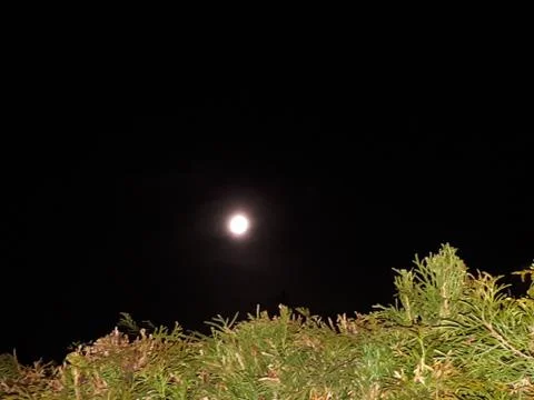 Full moon in the dark Stock Photos