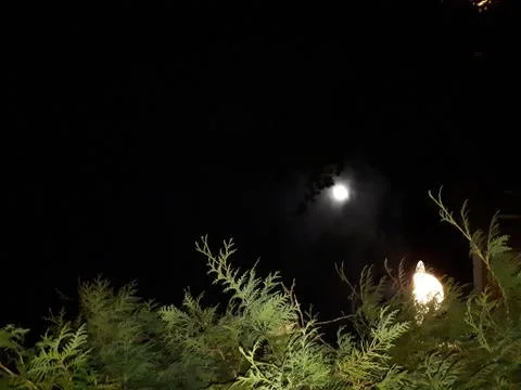 Full moon in the dark Stock Photos