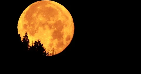 Full moon in dark sky at night Stock Footage