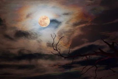Full moon in dark sky Stock Photos