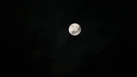 Full moon in the deep night with clouds and trees Stock Footage 117866472