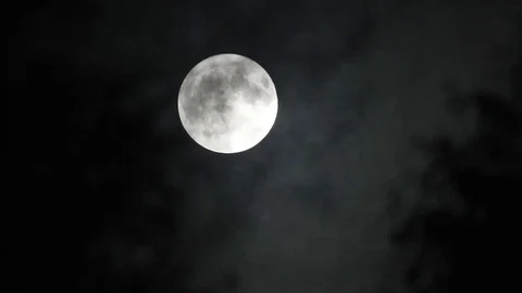 Full moon in the deep night with clouds and trees Stock Footage 117866609