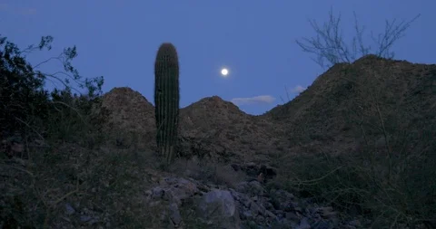 Full Moon at the Desert Stock Footage 103189894
