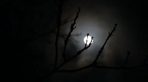 Full moon disappears behind fast spooky clouds focus pull Video stock 56873118