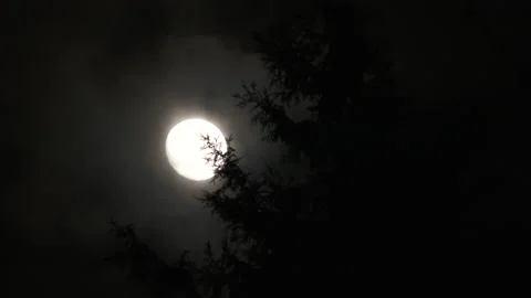 Full Moon Disappears In Storm Cloud At Night Video stock 154010092