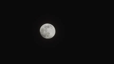 Full moon during a clear night (time-lapse) Stock Footage