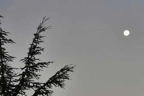 Full Moon at Dusk Stock Photos