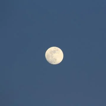 Full moon in the evening on sky Stock Photos