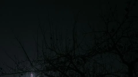 Full Moon Farm Apple Tree at Night Stock Footage 20544934