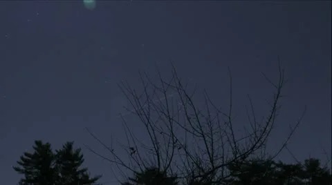 Full Moon Farm, Apple Trees, New England Stock Footage 20543720