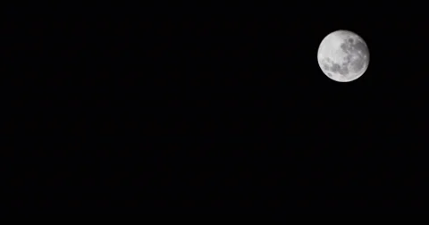 Full moon flies from corner to corner Stock Footage 68953270
