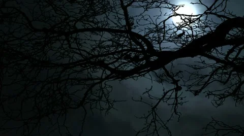 Full moon flowing past bare leafless tree Stock Footage 10684217