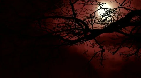 Full moon flowing past bare leafless tree Stock Footage 10709523
