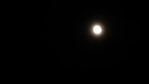 Full moon in fog Stock Footage 83772414