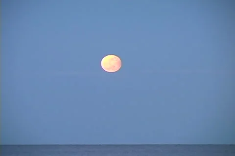 Full Moon Video stock 2199453