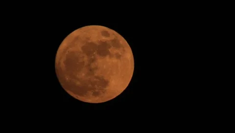Full Moon Stock Footage 3145991