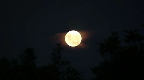 Full moon Video stock 7767900